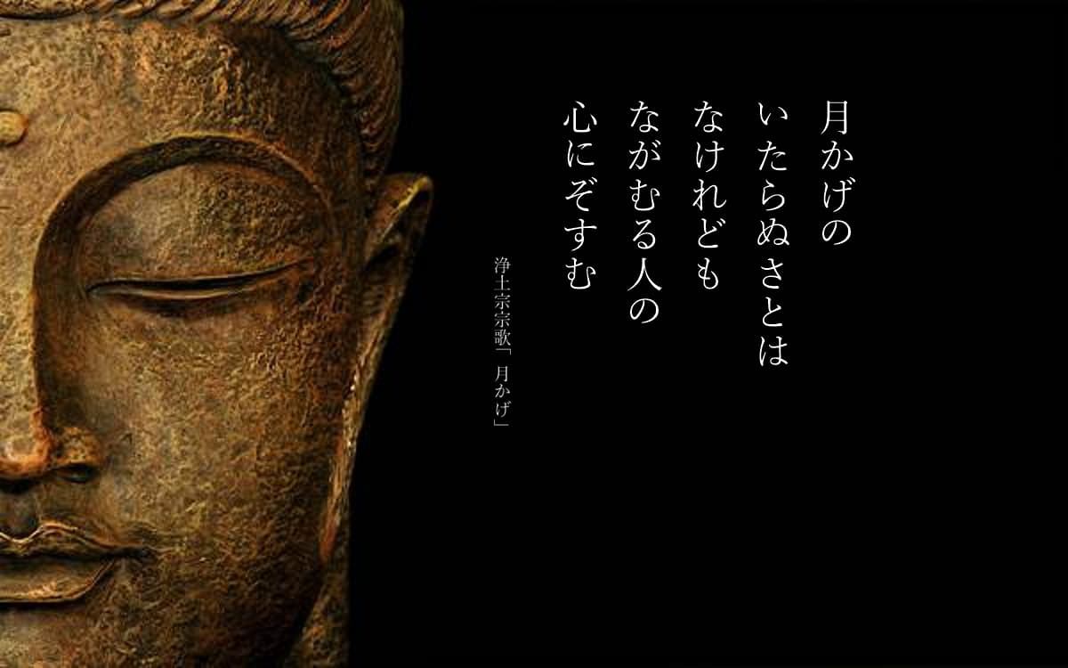 浄土宗　西光寺 TOP